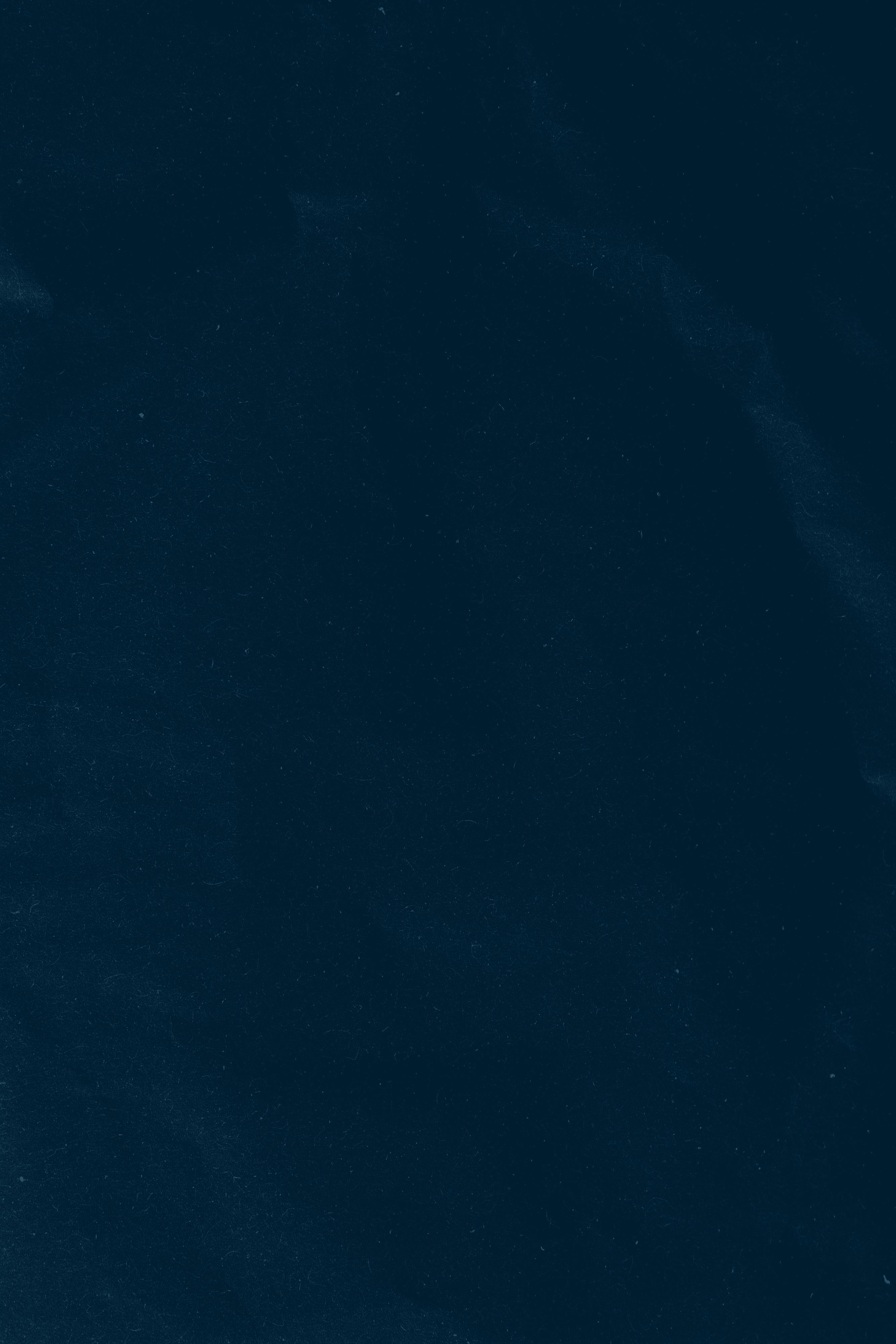 portfolio background